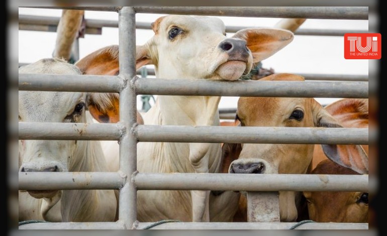 সিবিআইয়ের রেডারে ইলামবাজারের বেতাজ বাদশা কোটি কোটি টাকার সম্পত্তির মালিক আব্দুল লতিফ ! 